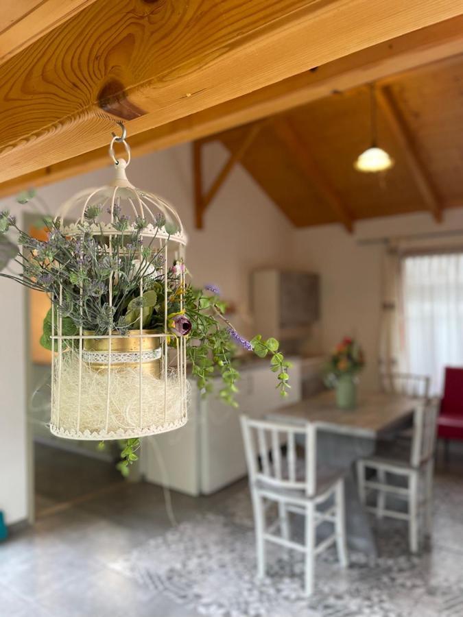 Ibolya Apartman Csisztapuszta Екстериор снимка